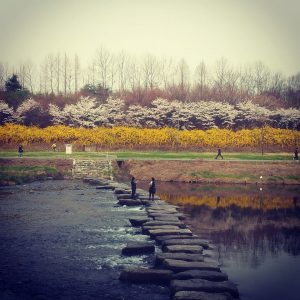 tancheon stream