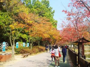 korea autumn