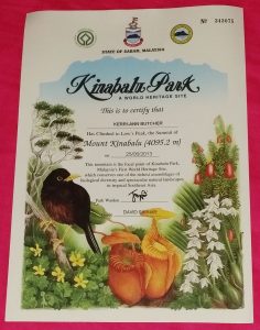 kinabulu certificate